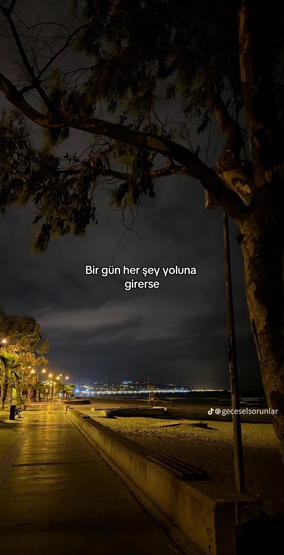 @Özge Aksu