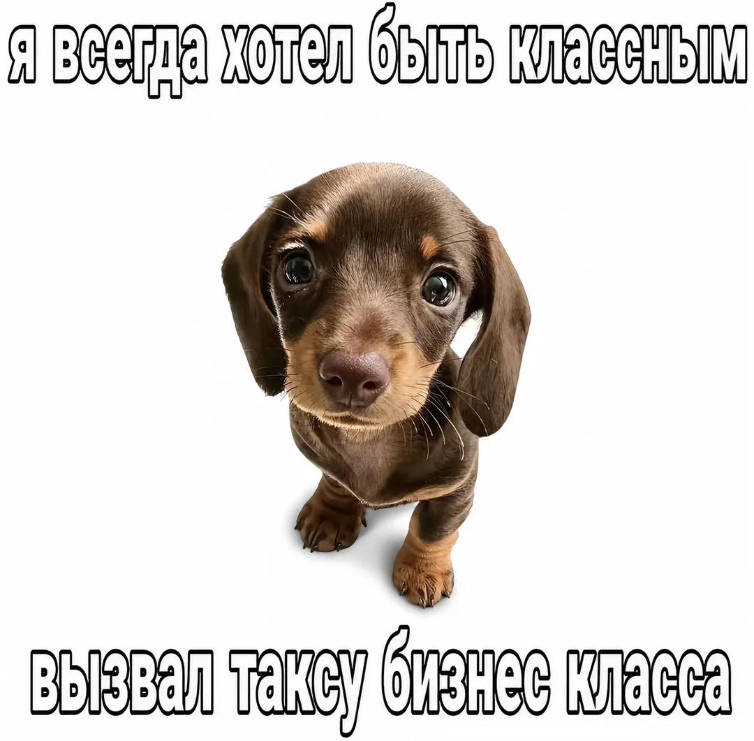 @8 923