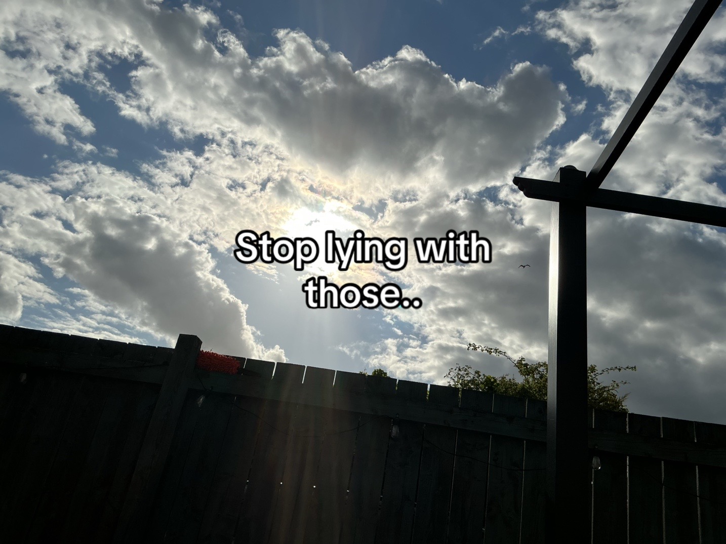 @.⋆❀°˙⋆✮𑣲𝄞— 𝓈𝒾𝑒𝓃𝓃𝒶 ⭐️🪽