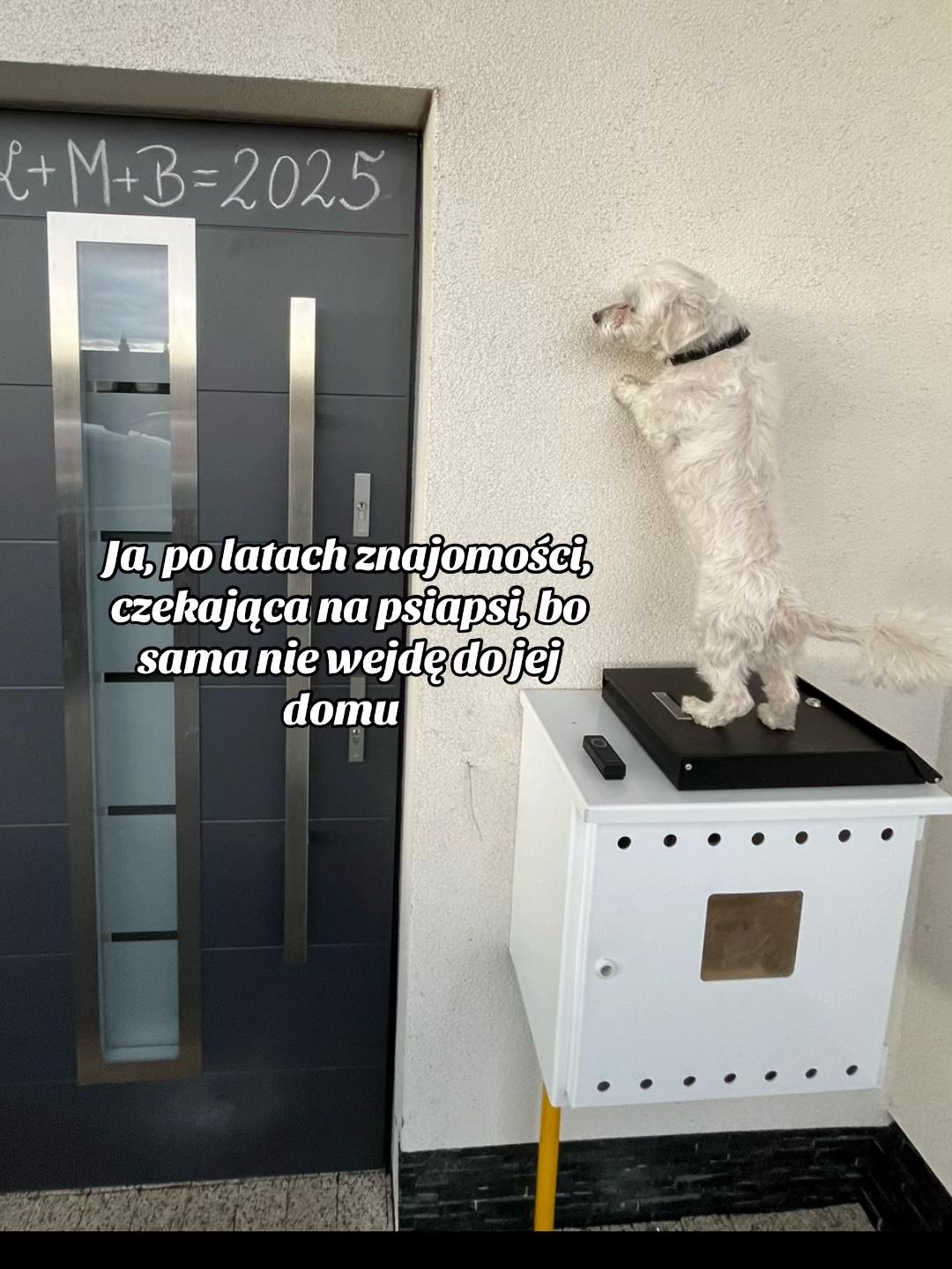 @Julitka