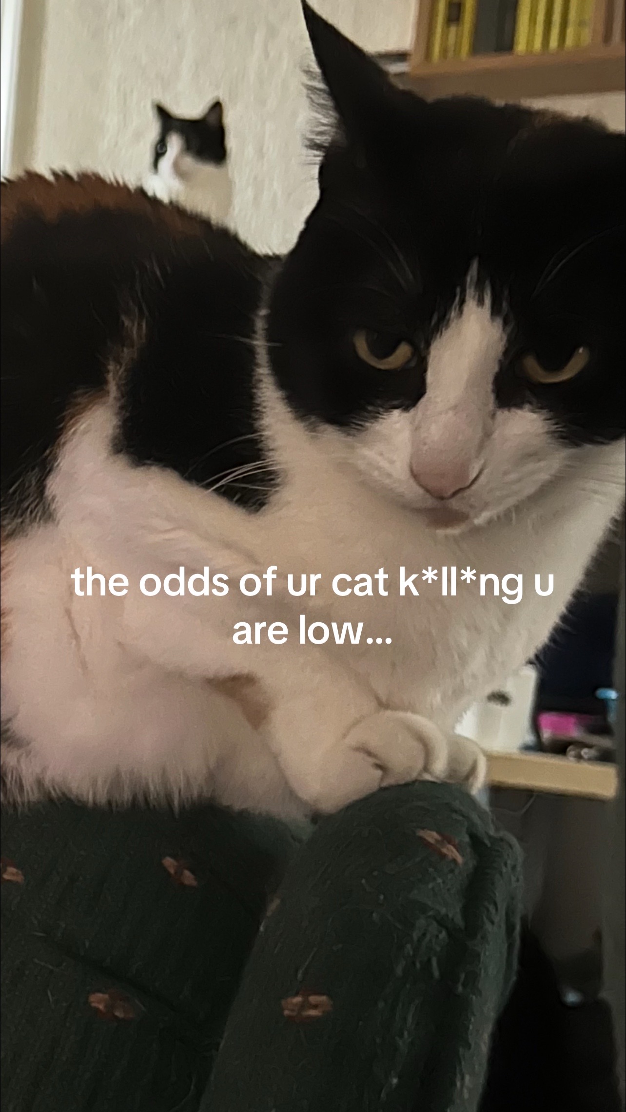@nora