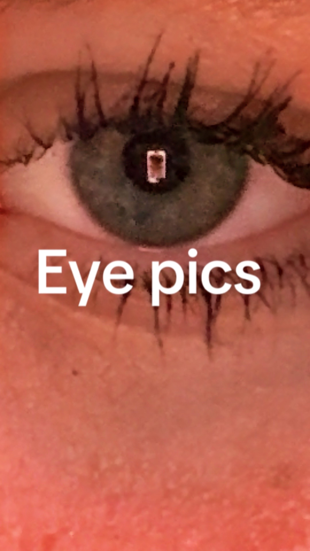 @Kaylee
