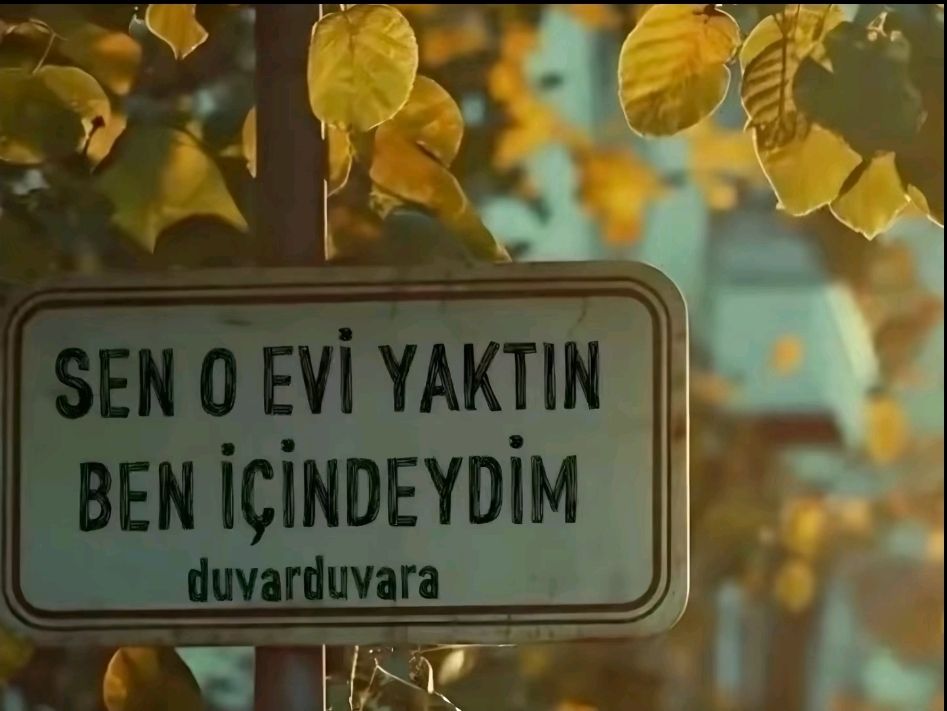 @ali_seyhanli21
