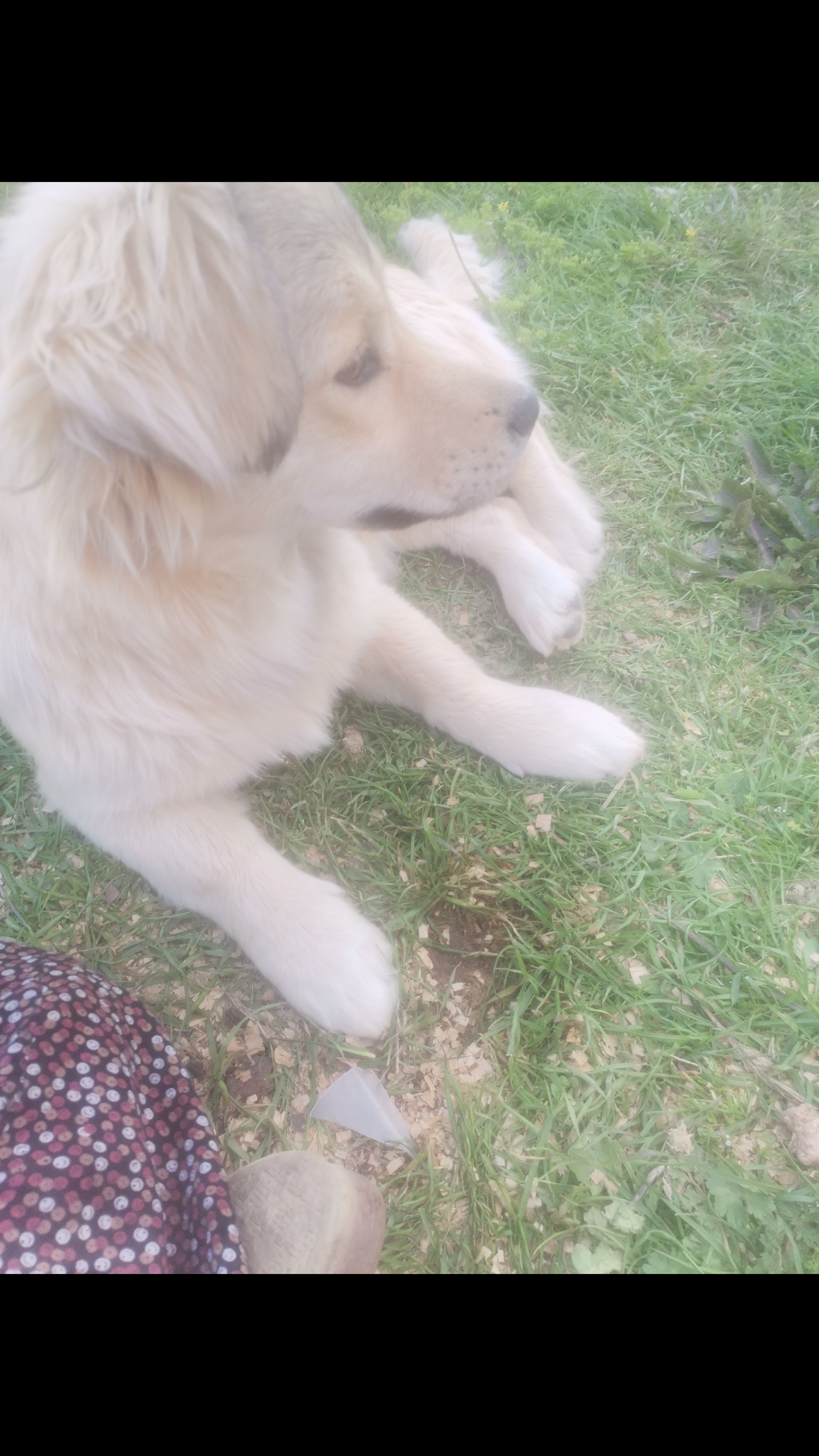 @Zübeyde Ölmez