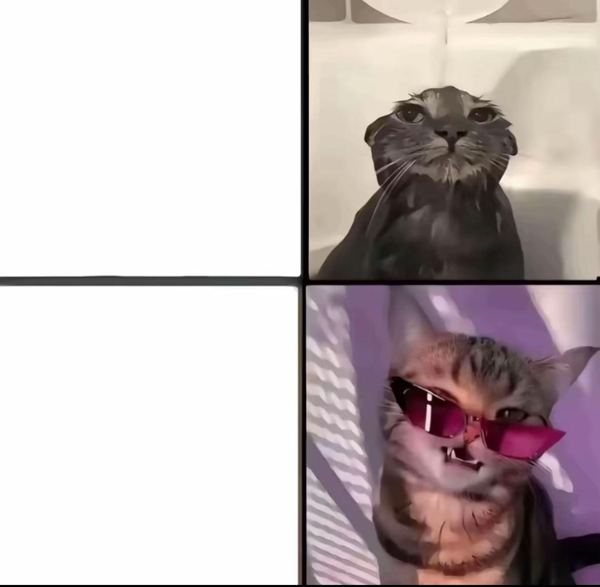 @alzfn1