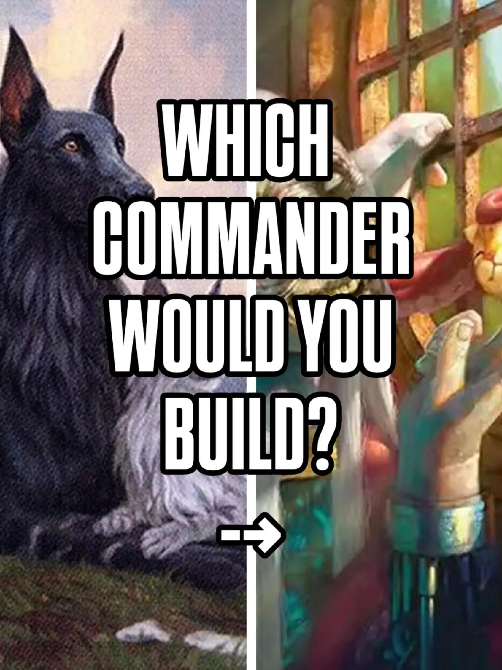 @That TCG Guy