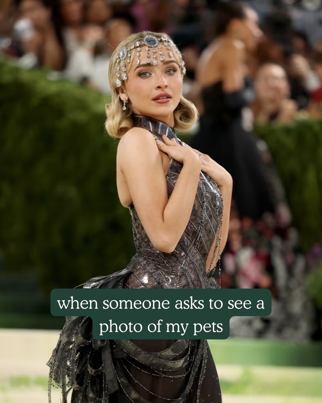 @Fera Pets