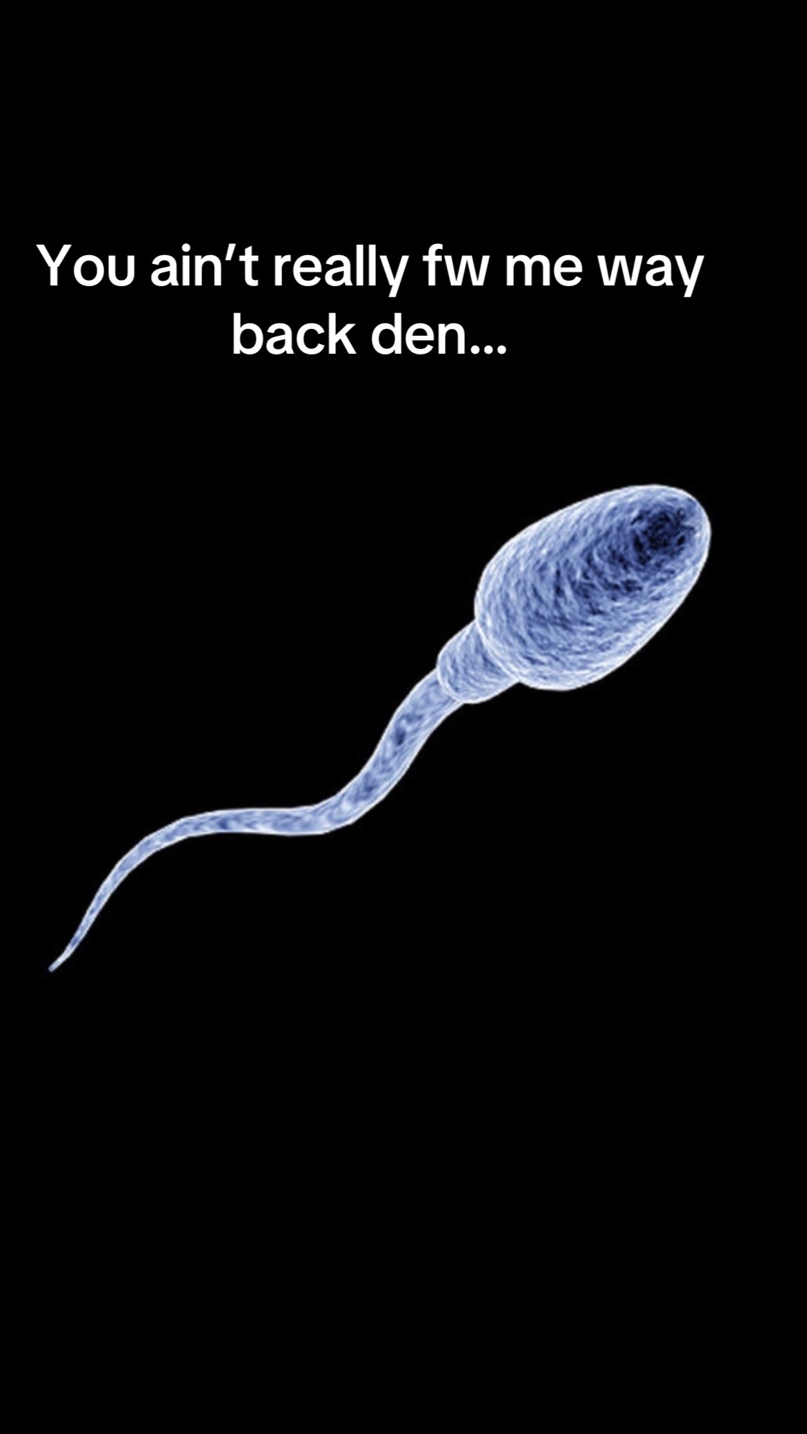 @Luke cerda