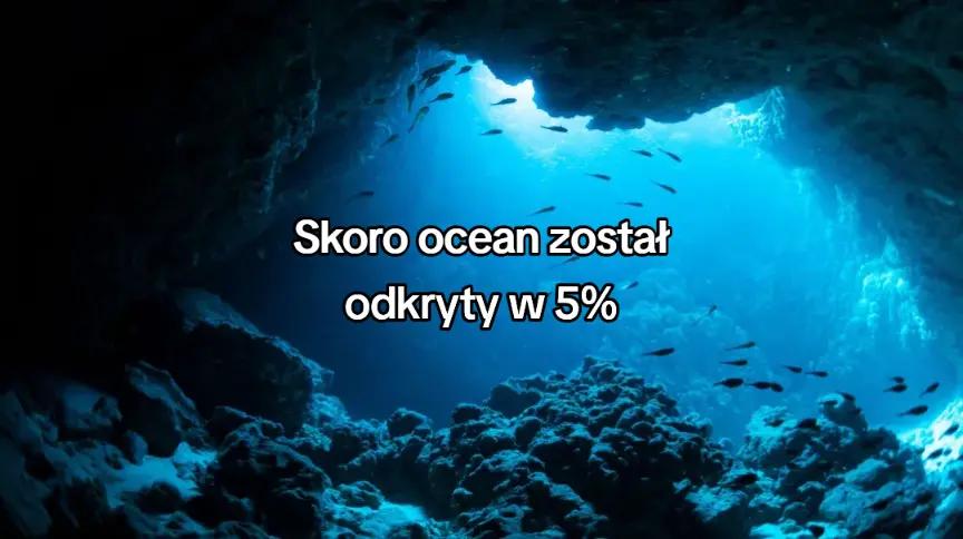 @Torcik