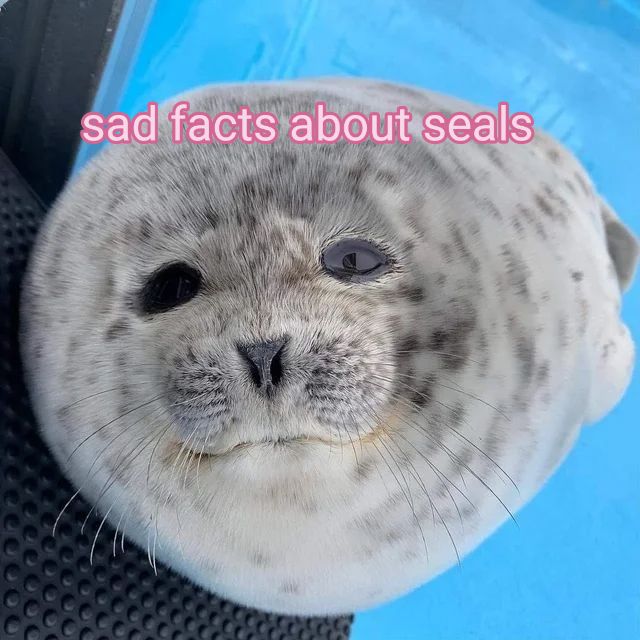 @⭐️ 𝙹𝚊𝚣𝚖𝚒𝚗 ⭐️
