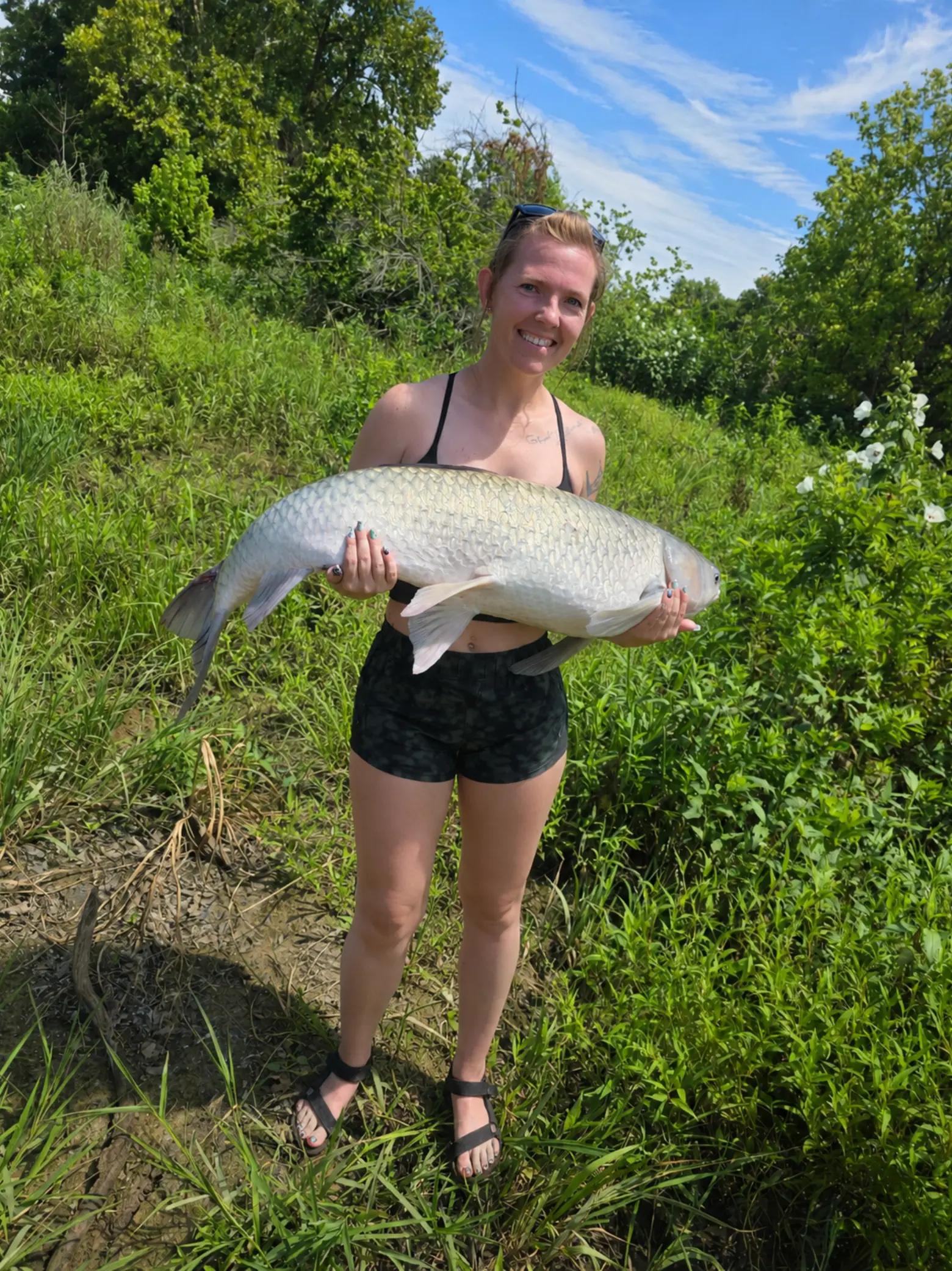 @live.laugh.fish