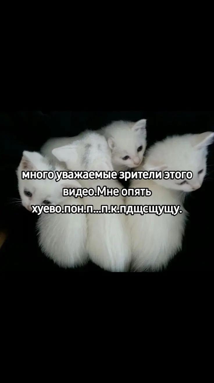 @щп