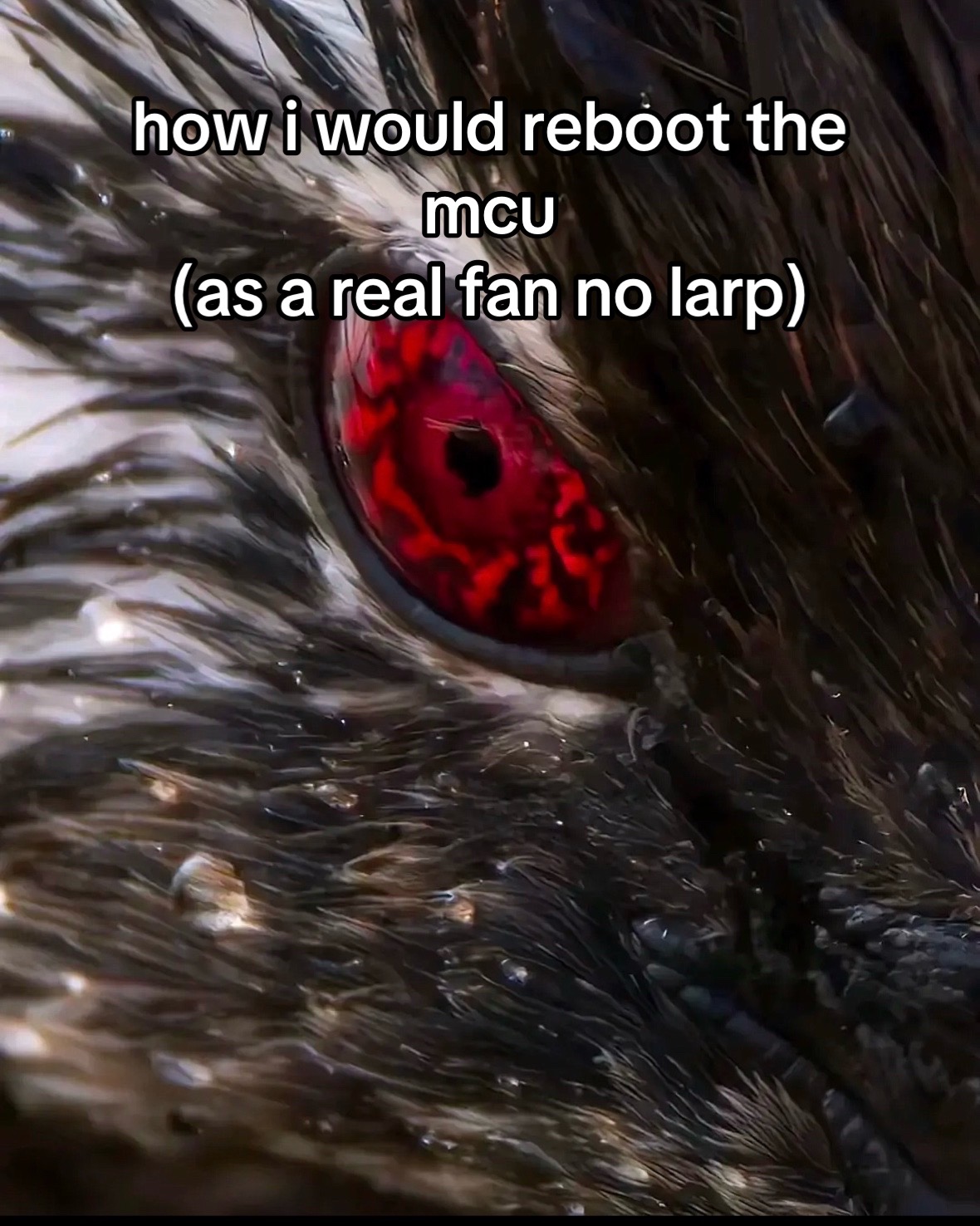 @DA1MSH1GH
