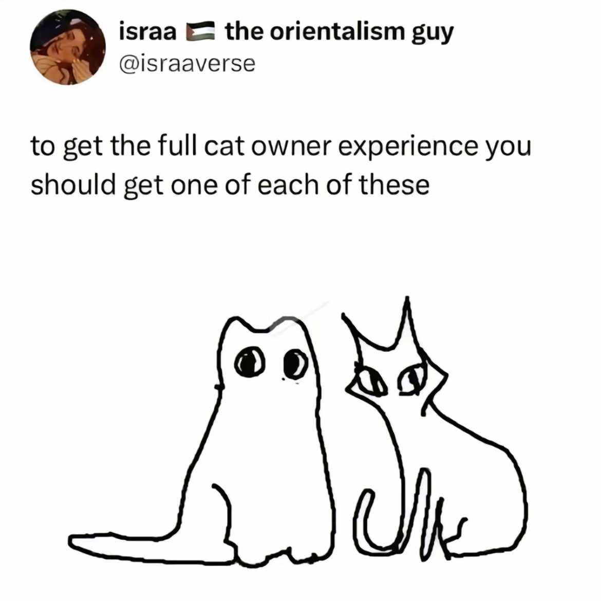 @lauren