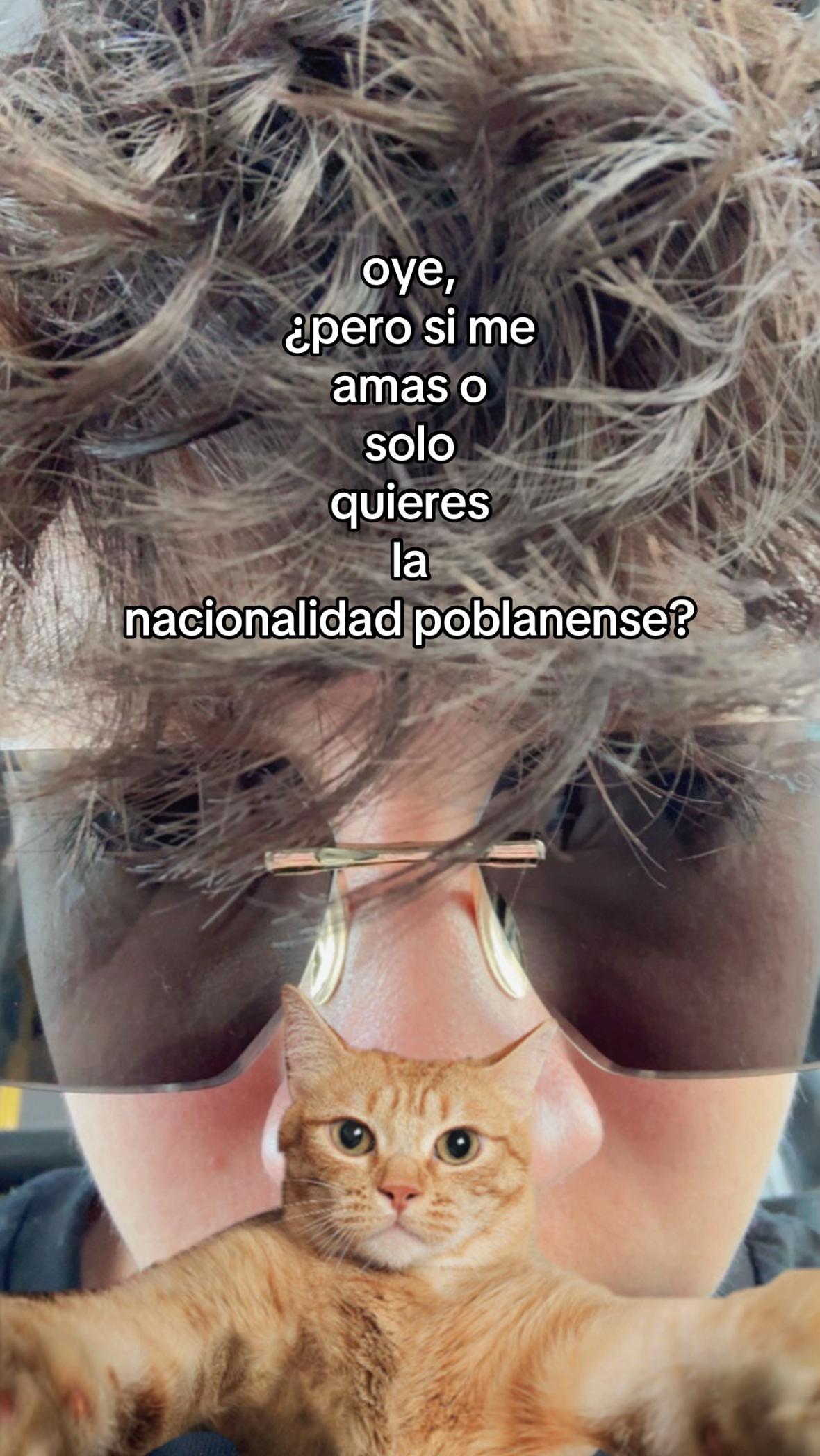 @Ceesar🕷️