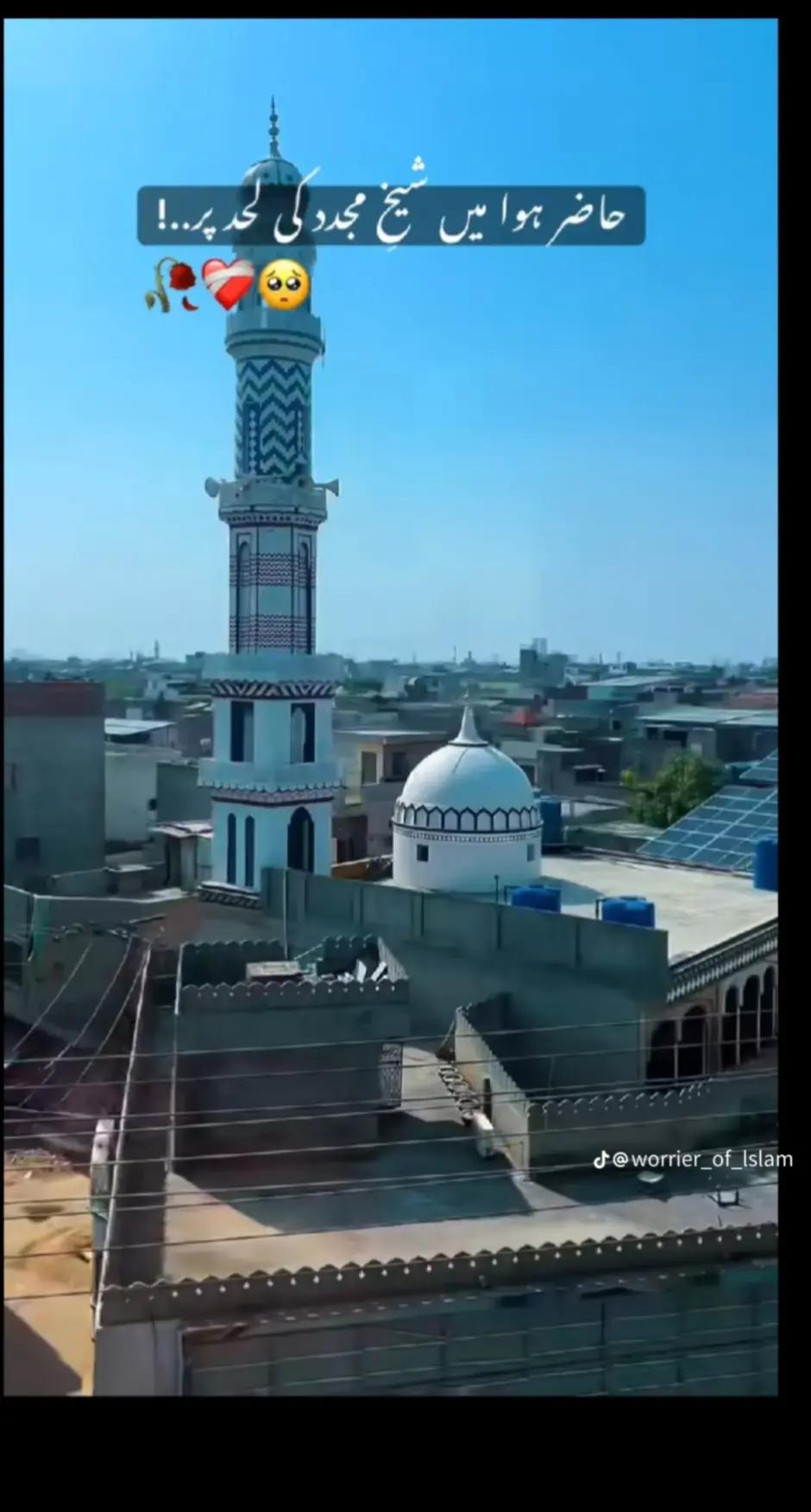 @Muzamil Hayat