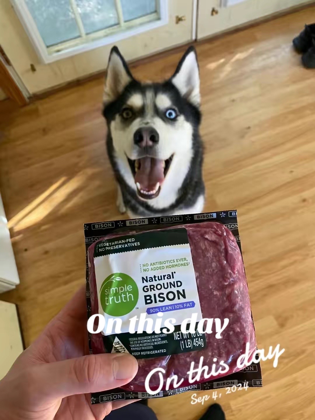 @Martin Scorsese the husky
