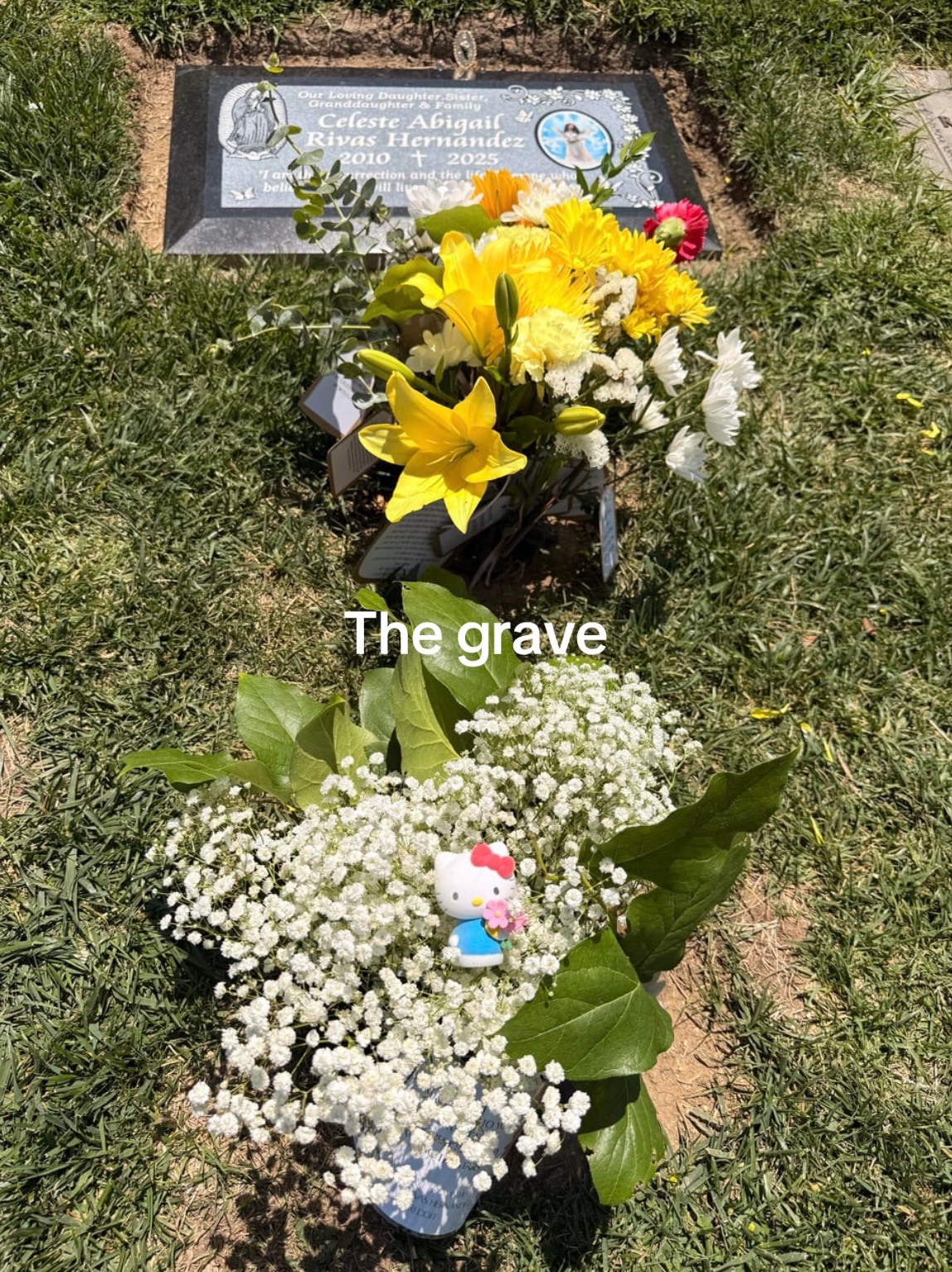 @justiceforceleste