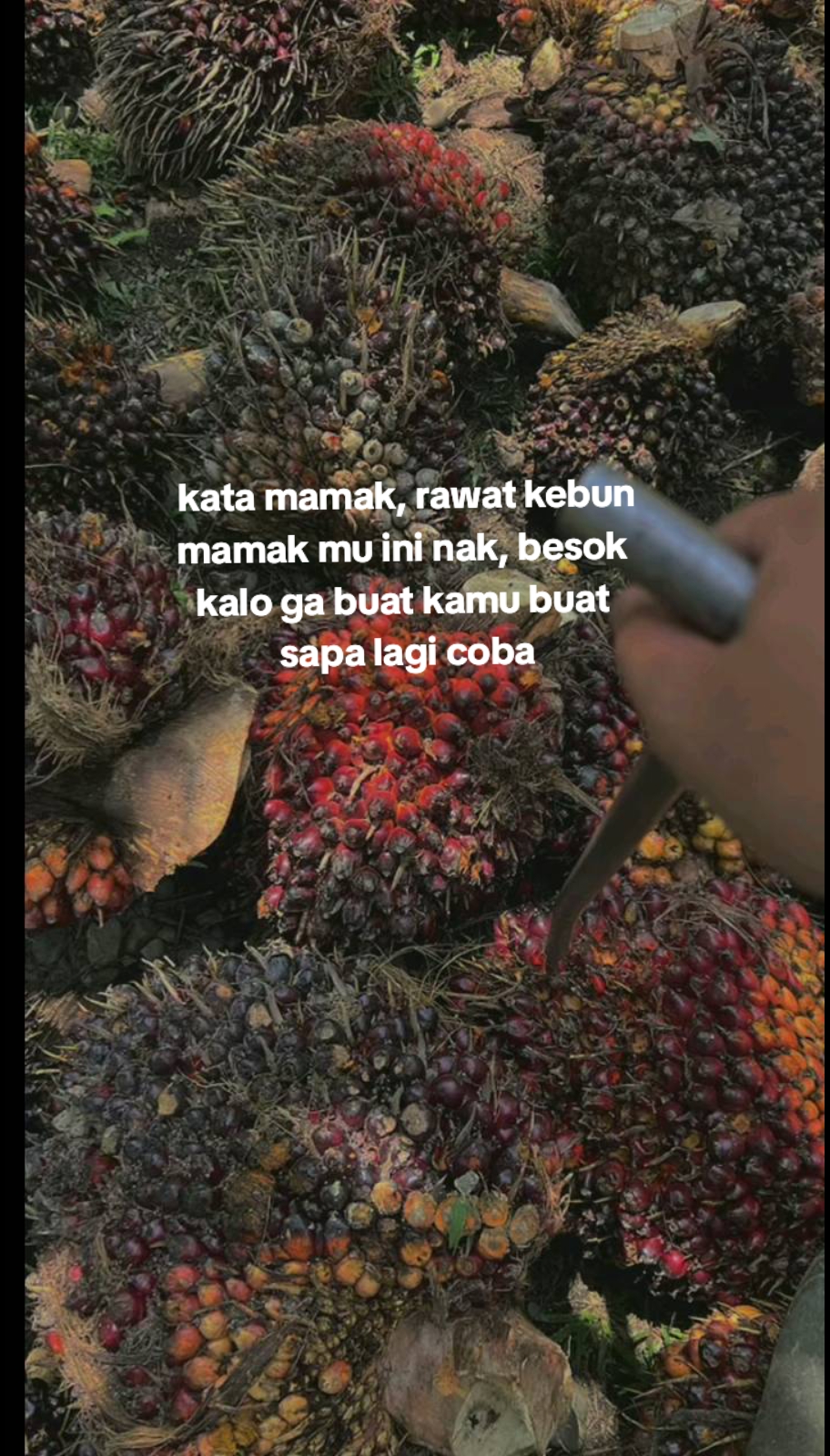 @pik