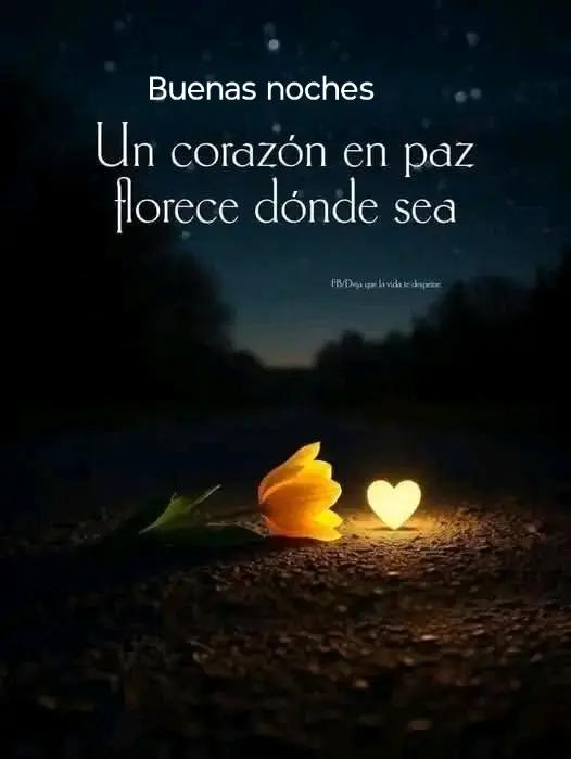 @Mary.S