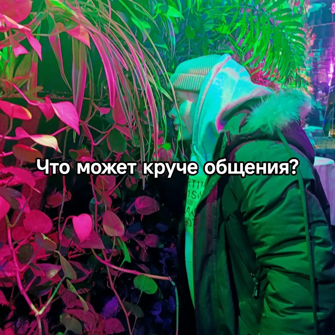 @Alebot_bip