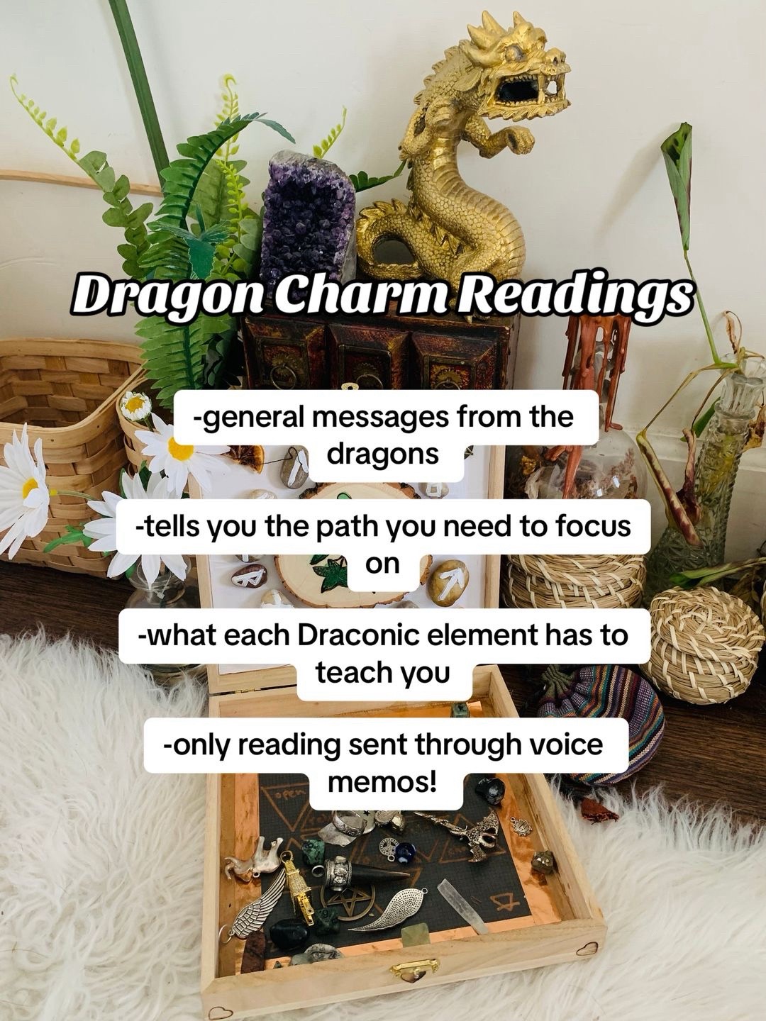 @Merlyn The Dragon Alchemist 🐉