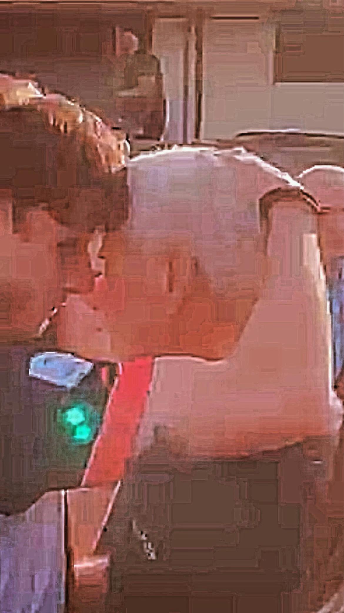 @Celeste Pagano769
