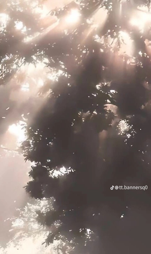 @𝘚𝘱𝘰𝘰𝘬 𝘱𝘰𝘳𝘵𝘢𝘭𝘴 🌸