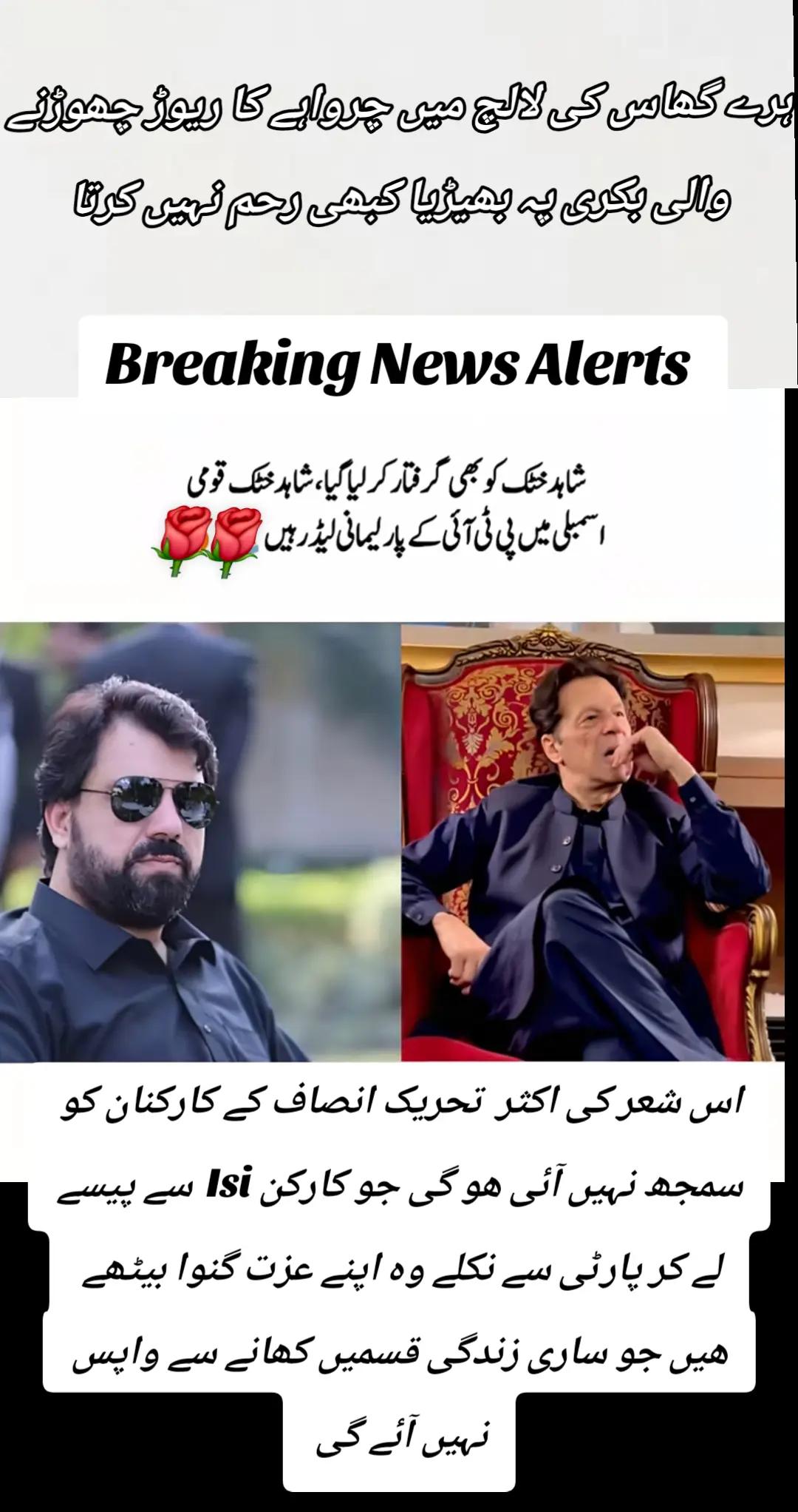 @اڈیالہ 804