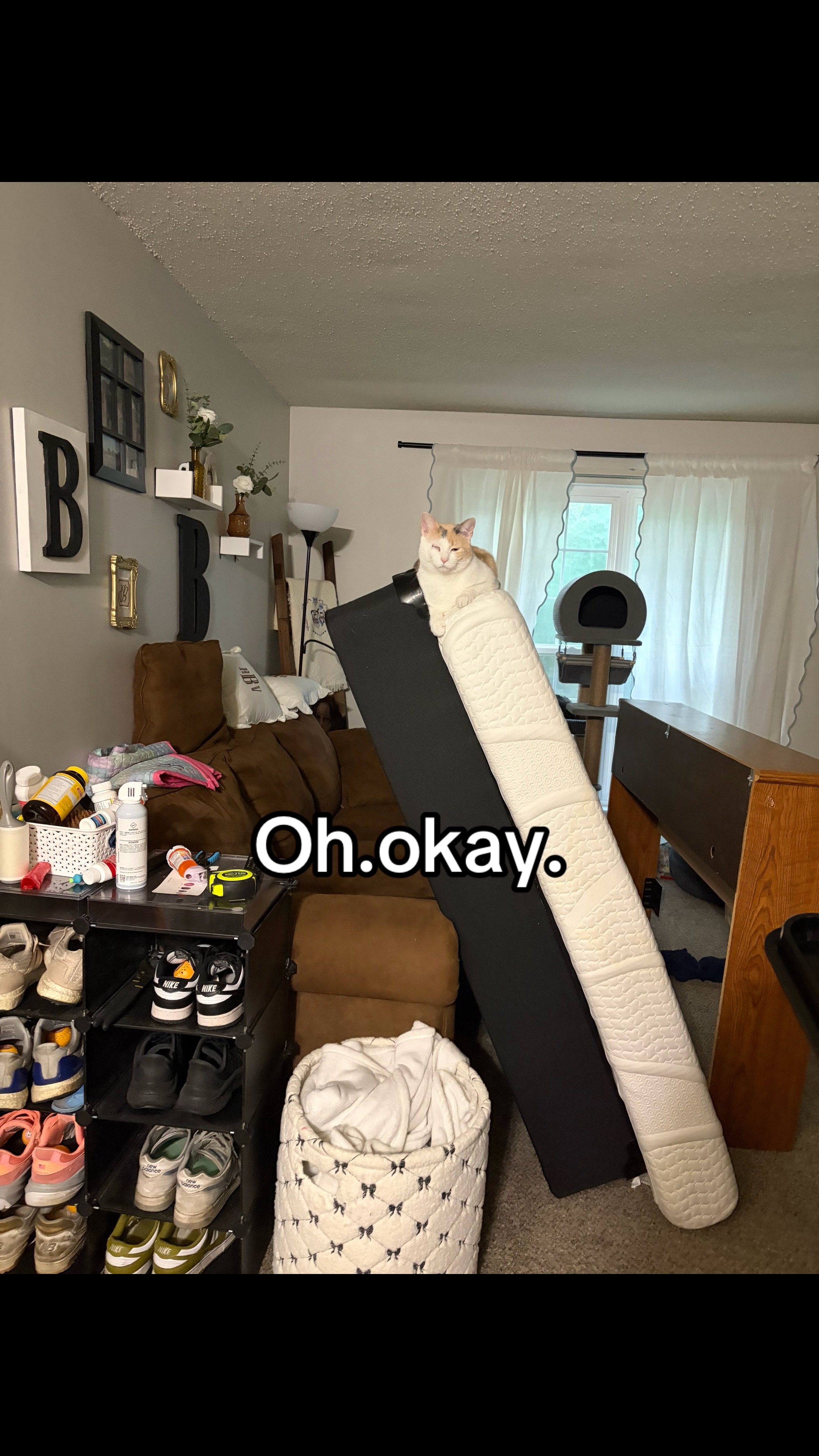 @vjb