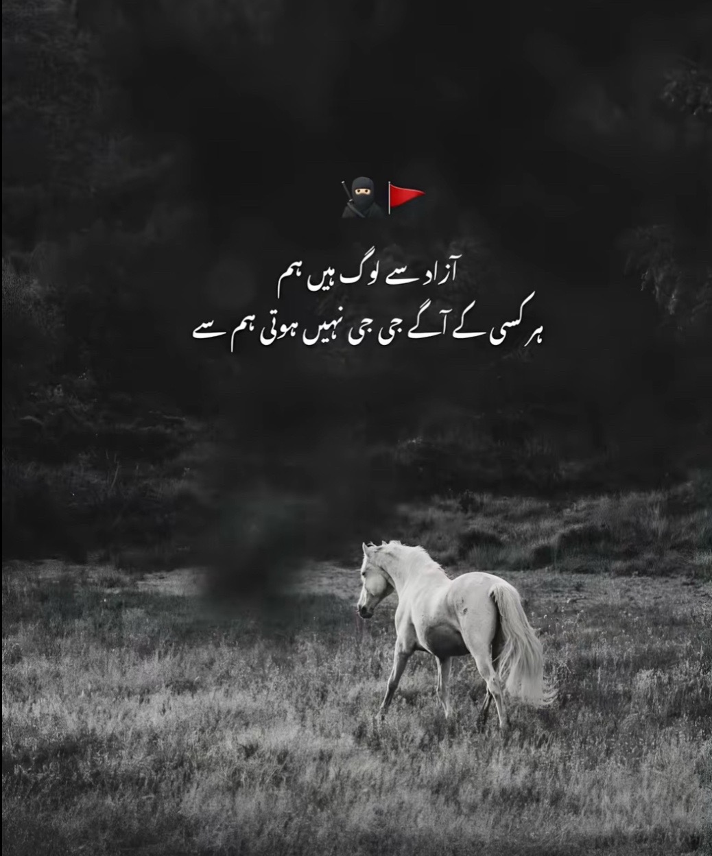 @MIRZA- 🖤🇵🇰