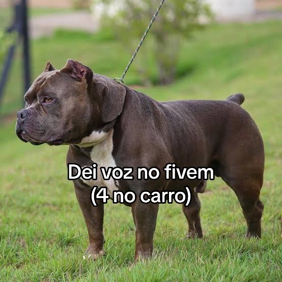 @Prikito Fivem