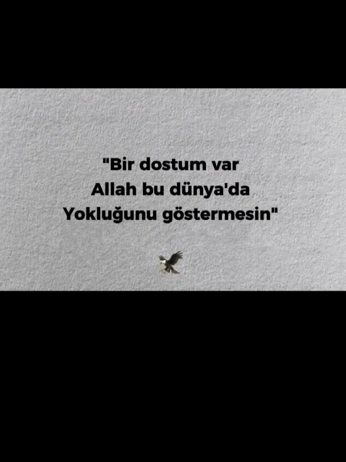 @Kerim🪬