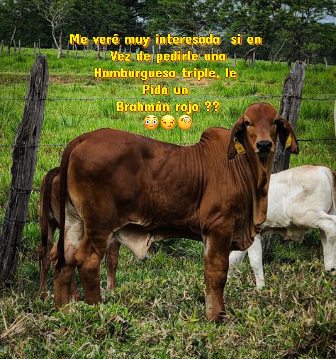 @🦁America Camargo 👑🇲🇽🥔🍟🌎