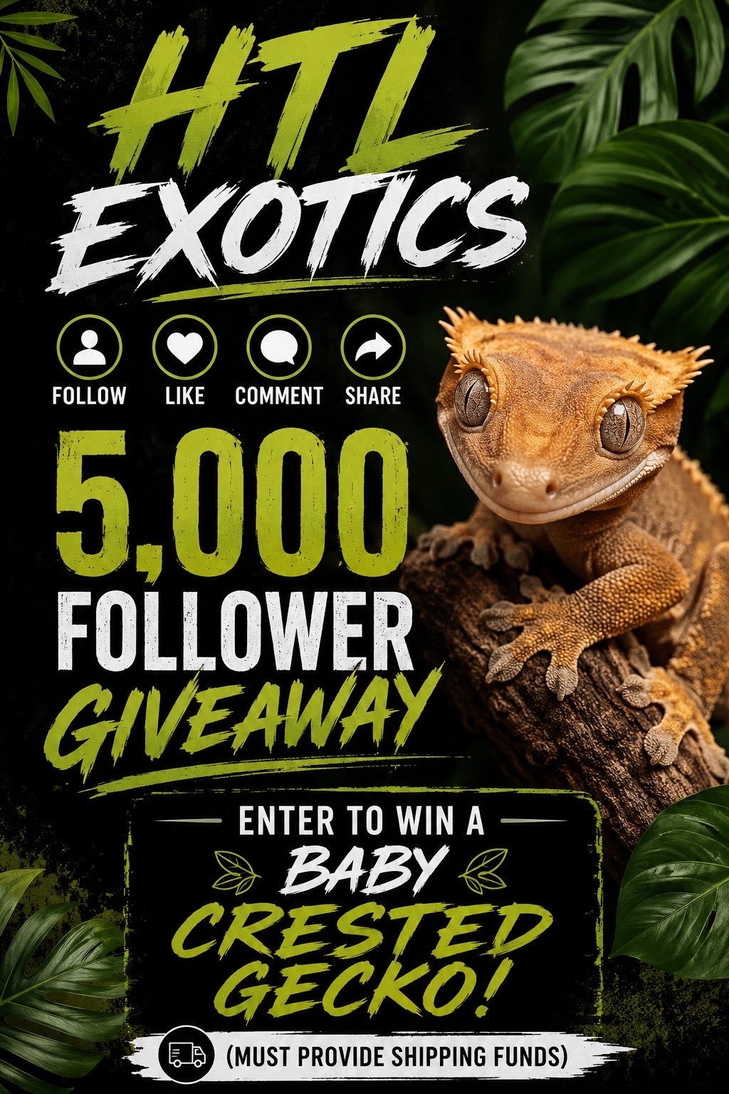 @HTL Exotics