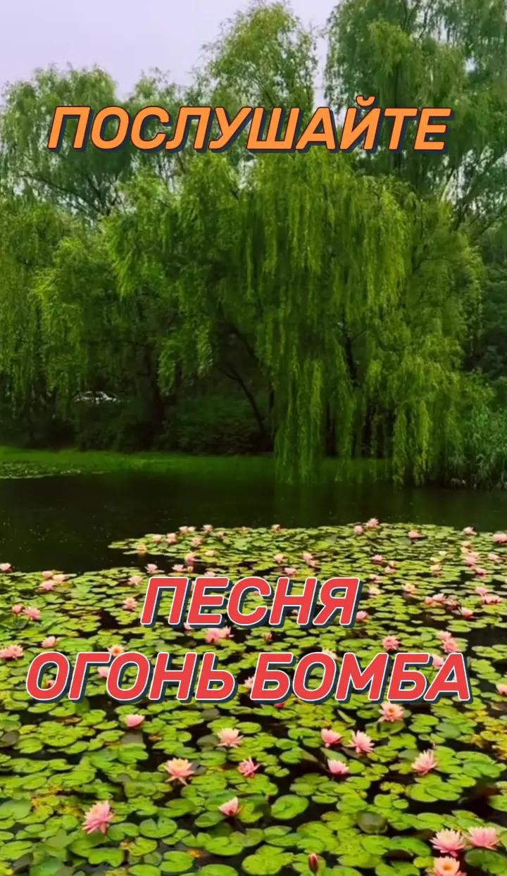 @Бусинка❤️