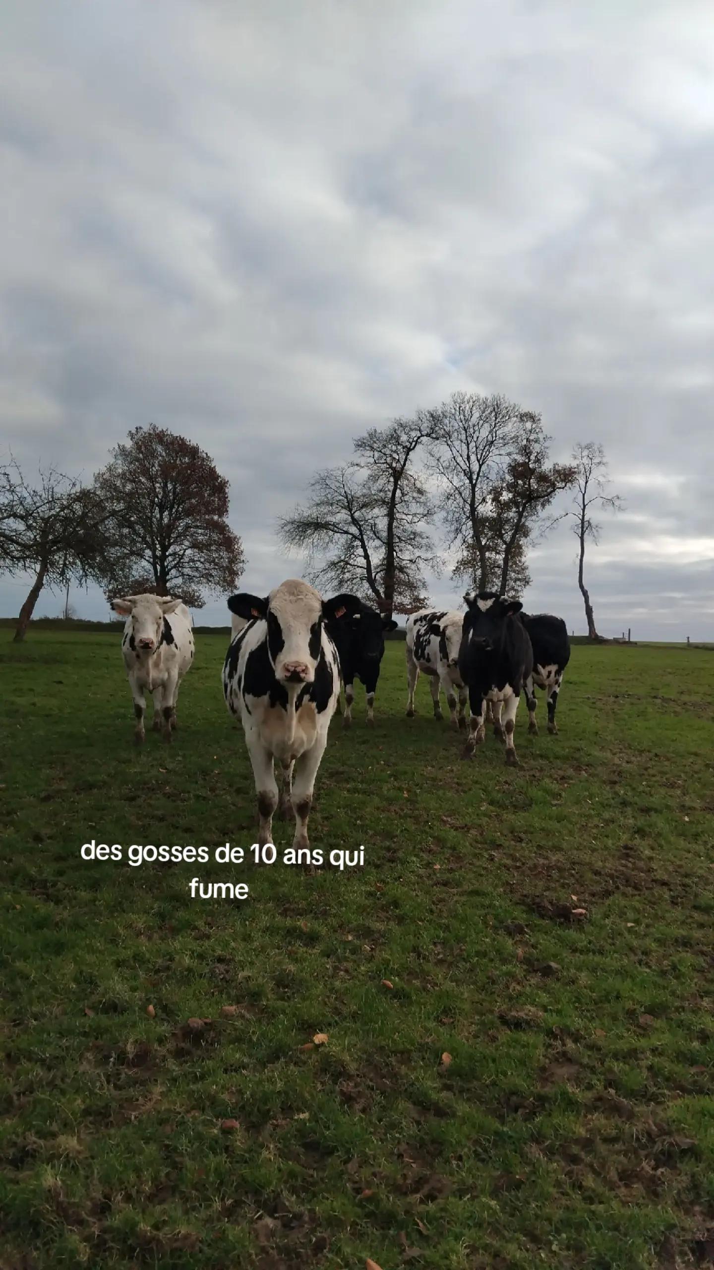 @Océane 🐄🌾