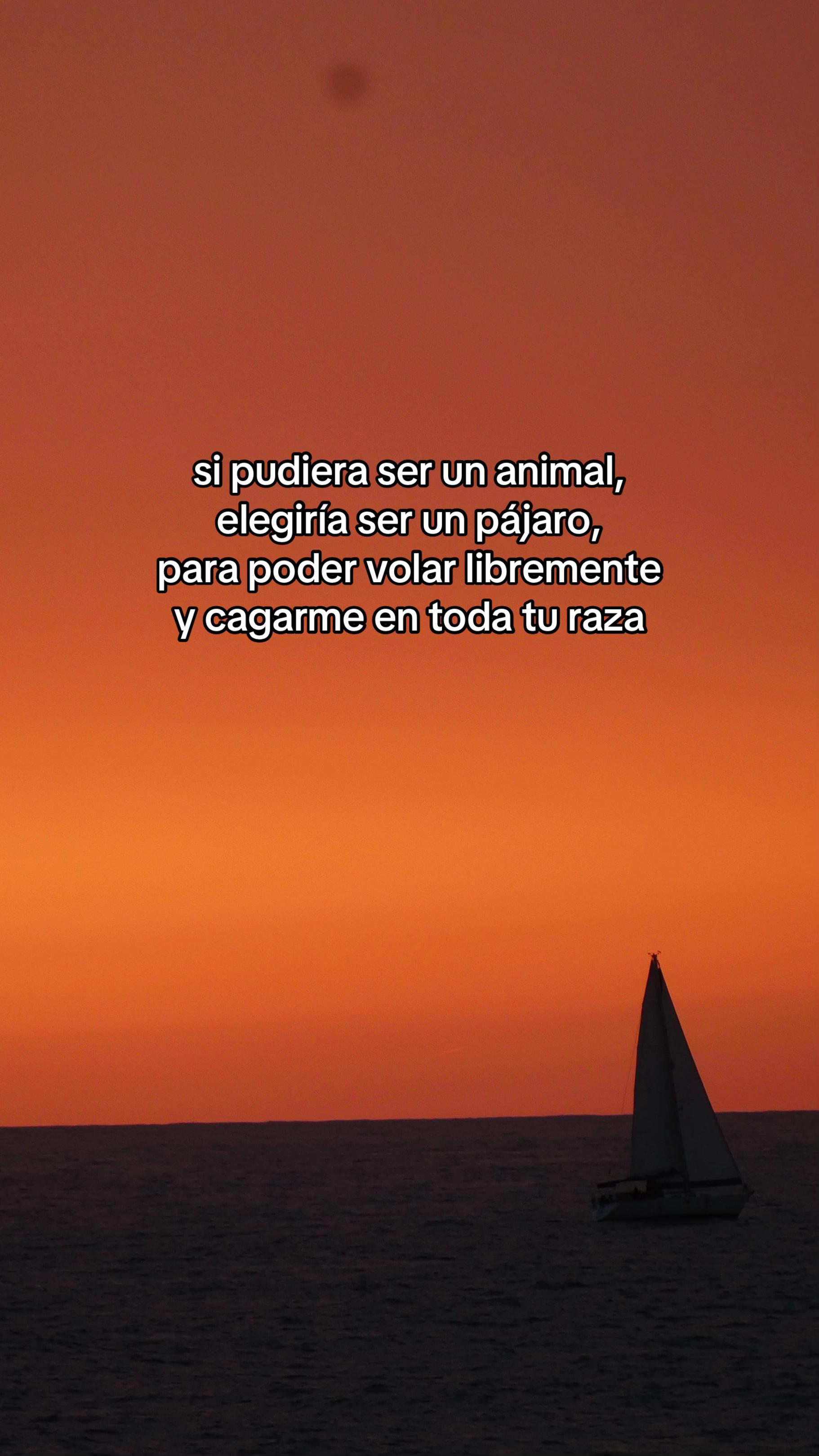 @Sergi Manzano