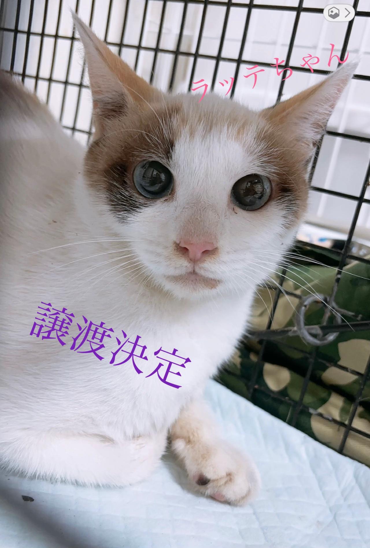 @そぉーちゃん🍷🐈soochan