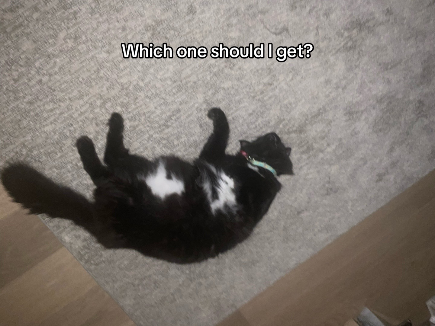 @𝐼𝒩𝒦𝒴