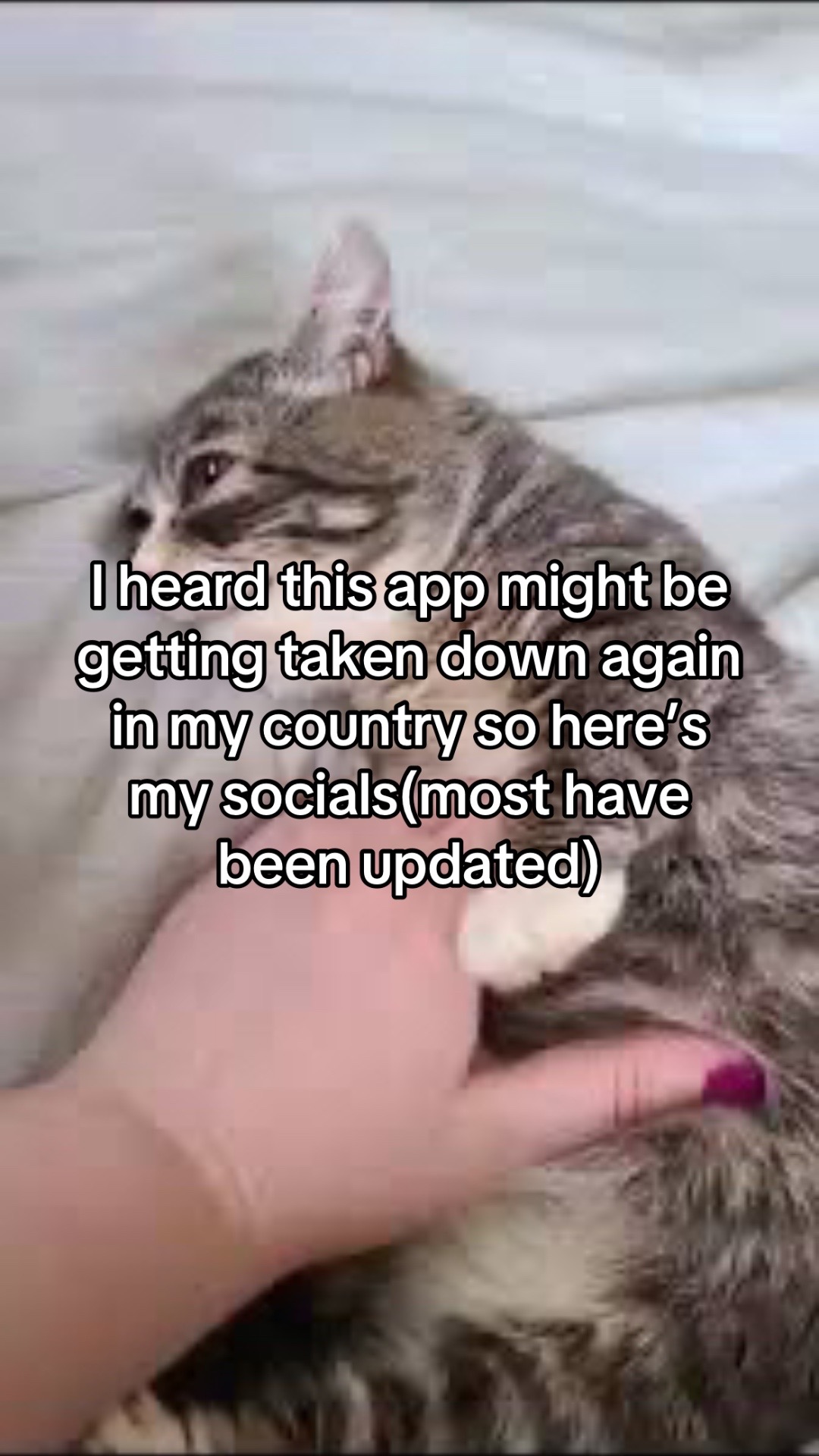 @Kenny