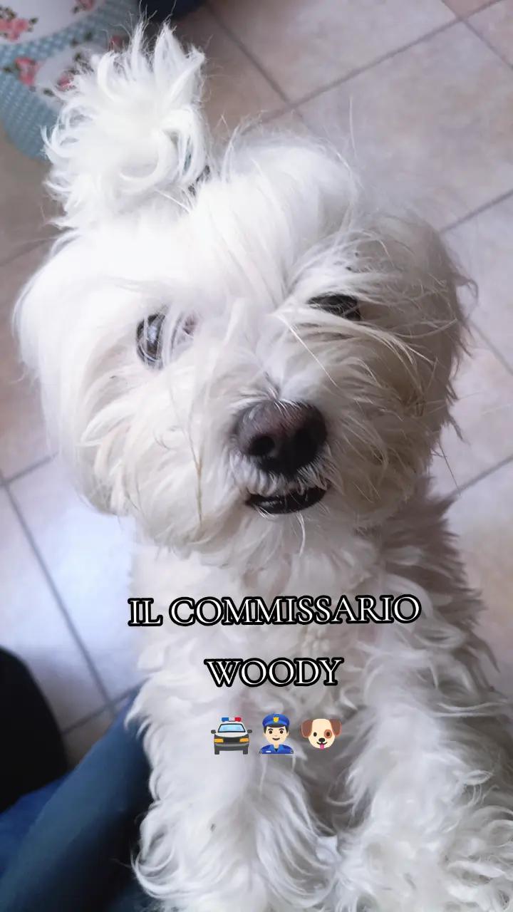 @👮🏻&zwj;♂️꧁ɃⱠ₳₵₭⛥₩&Oslash;Ⱡ₣꧂👮🏻&zwj;♂️