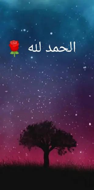 @💫 Mohamed 💫