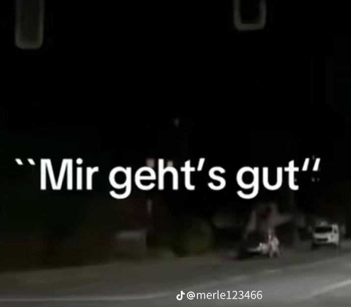 @kleiner Kampfzwerg 🤭❤️