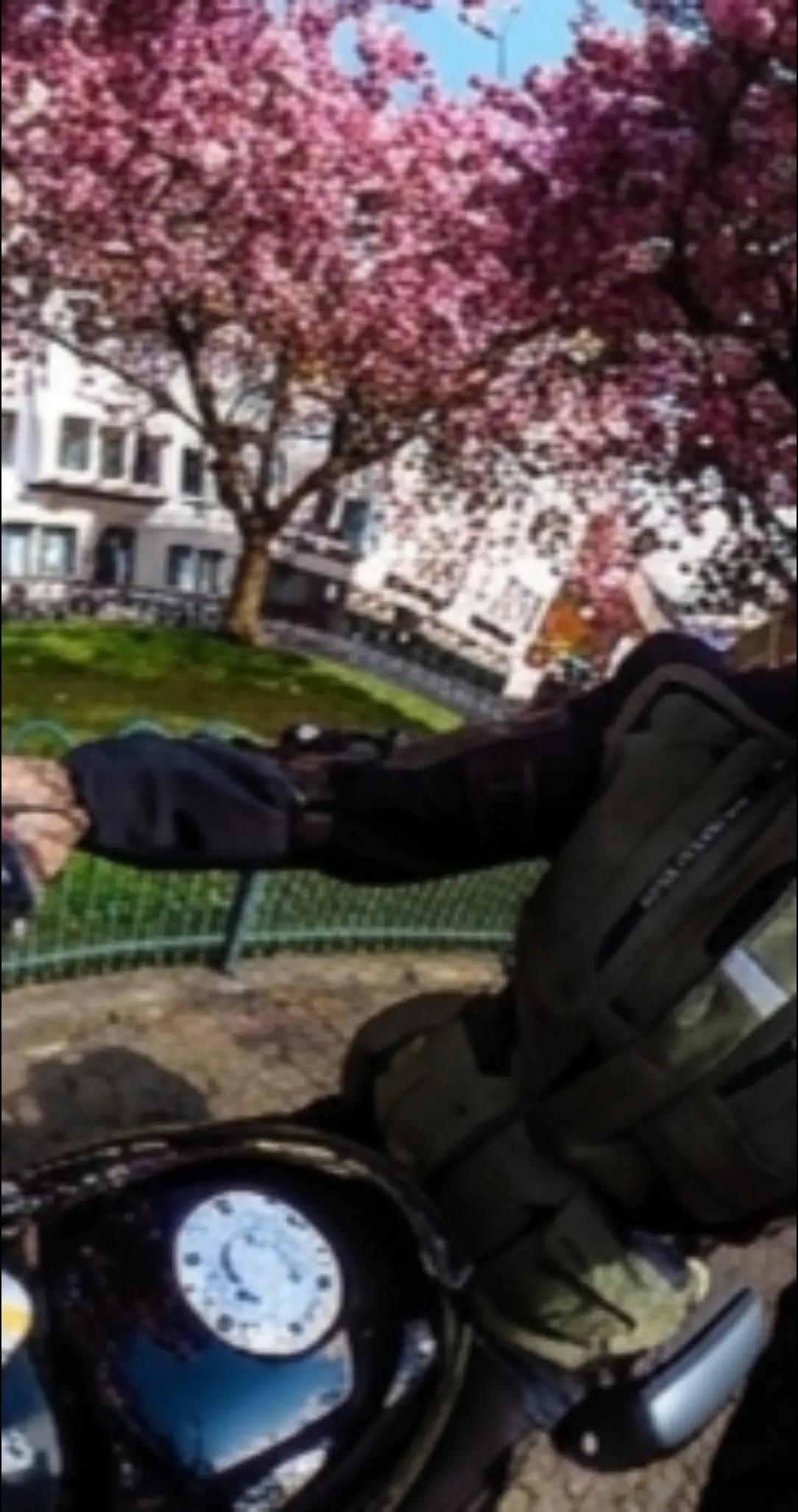 @skadi &oelig;nsdottir
