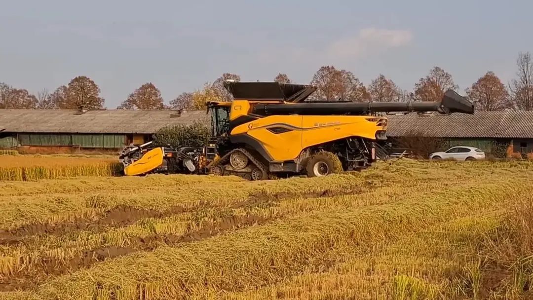 @TEO93.AGROTECH