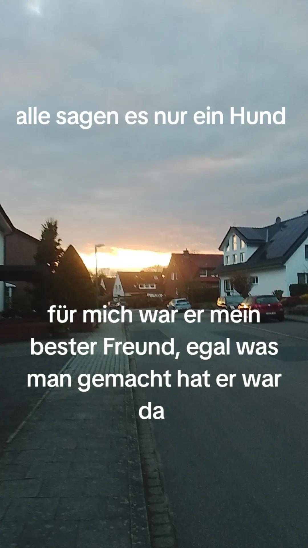 @Aischa Piegsa