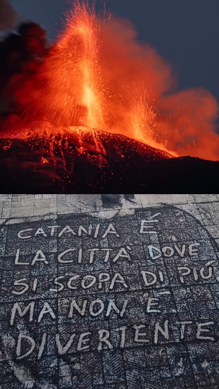 @Catanese