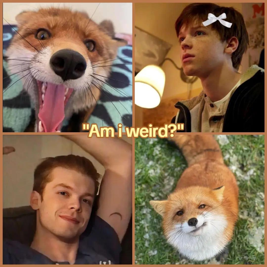 @shameless‼