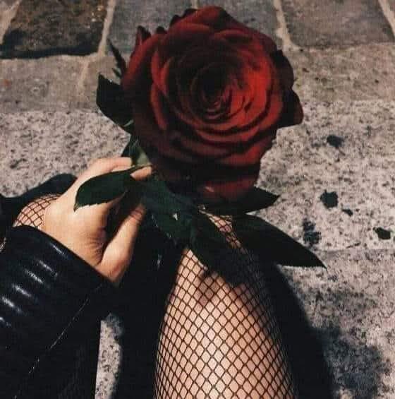 @nathalielecomte76